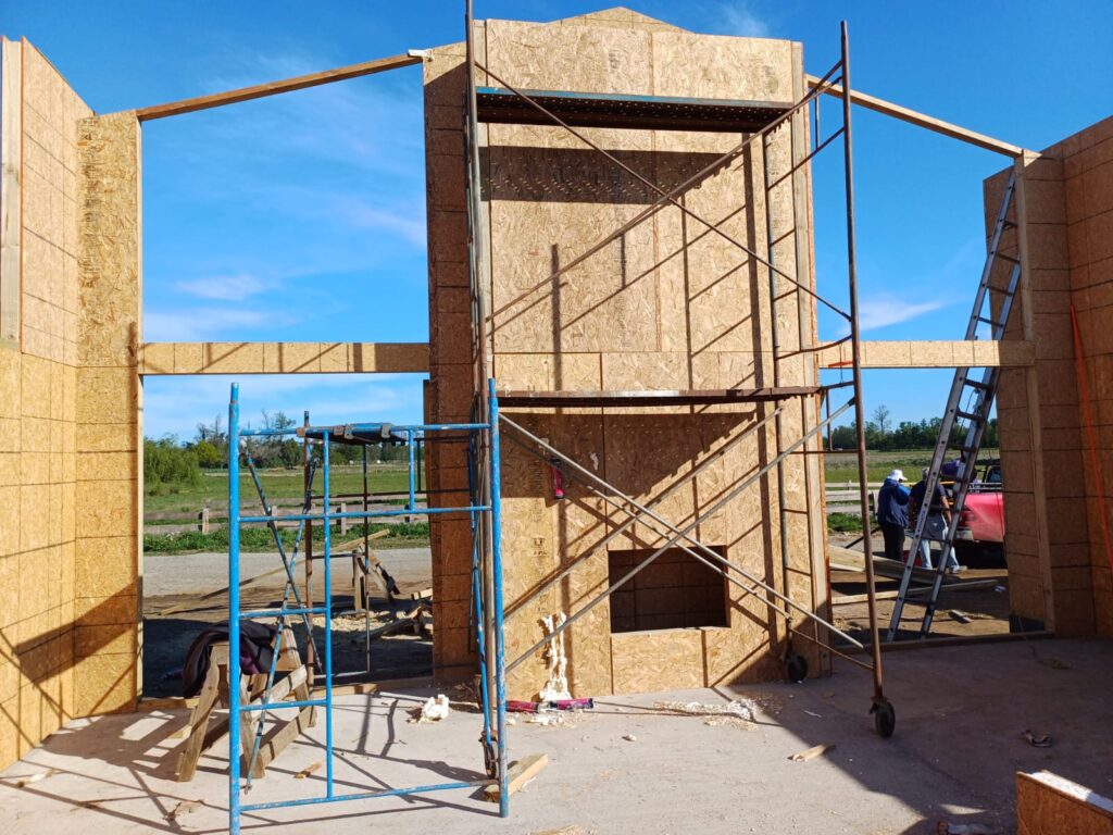 WhatsApp Image 2024-10-24 at 08.29.50