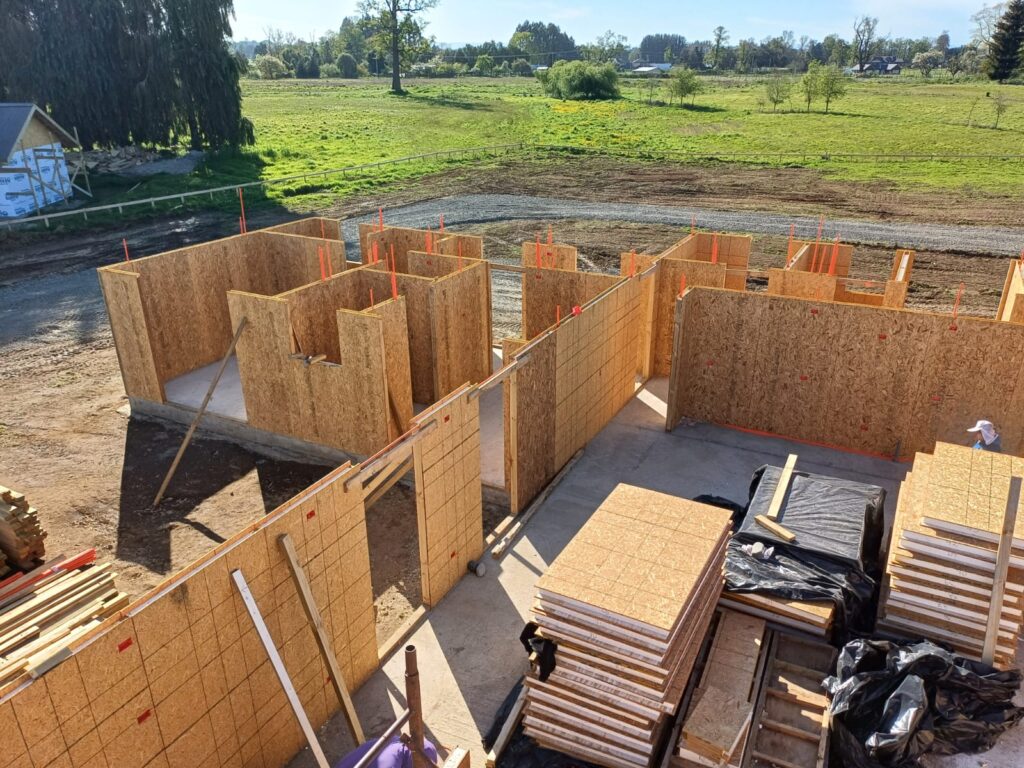 WhatsApp Image 2024-10-24 at 08.29.51 (3)